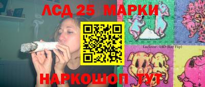 меф Гатчина