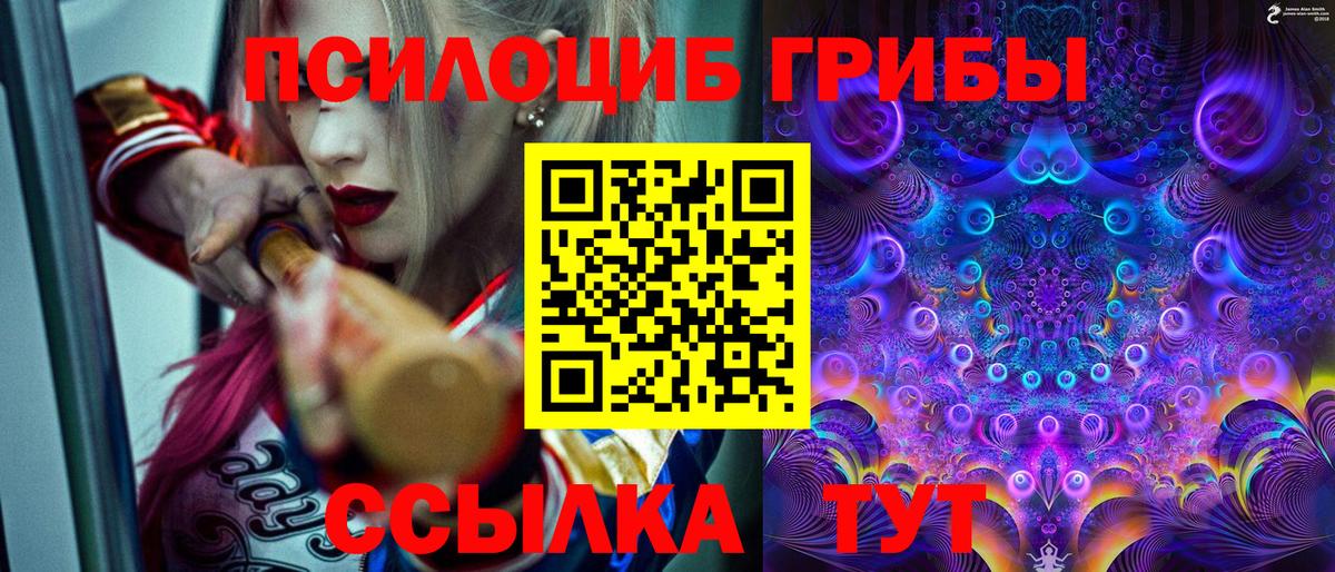Галлюциногенные грибы ЛСД  Псилоцибиновые грибы GOLDEN TEACHER  магазин продажи   Уссурийск  Вход с VPN 